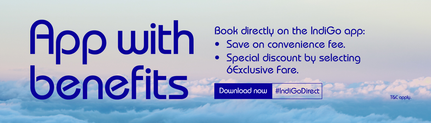 Indigo app with benefits
